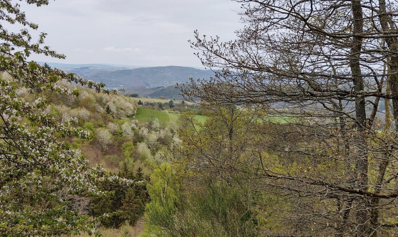 Ferienwohnungen Meindl Idar-Oberstein Zewnętrze zdjęcie