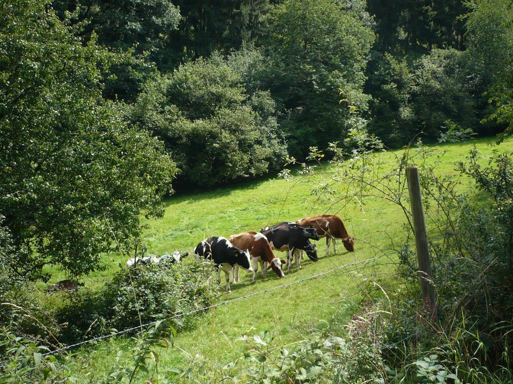 Ferienwohnungen Meindl Idar-Oberstein Pokój zdjęcie